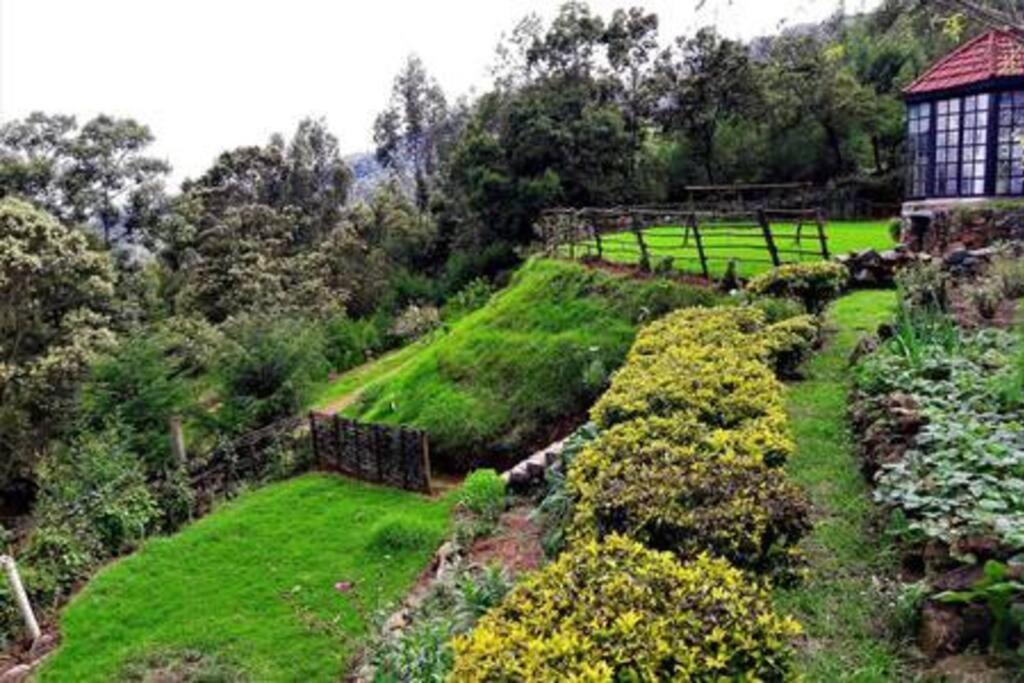 Stumpfields Bed and Breakfast Ooty Eksteriør billede